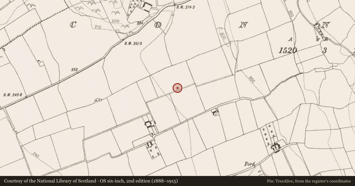Ordnance Survey six-inch map, 2nd edition (1888–1915) covering the location of Enclosure, Connahy, County Kilkenny, with a pin at the register's coordinates