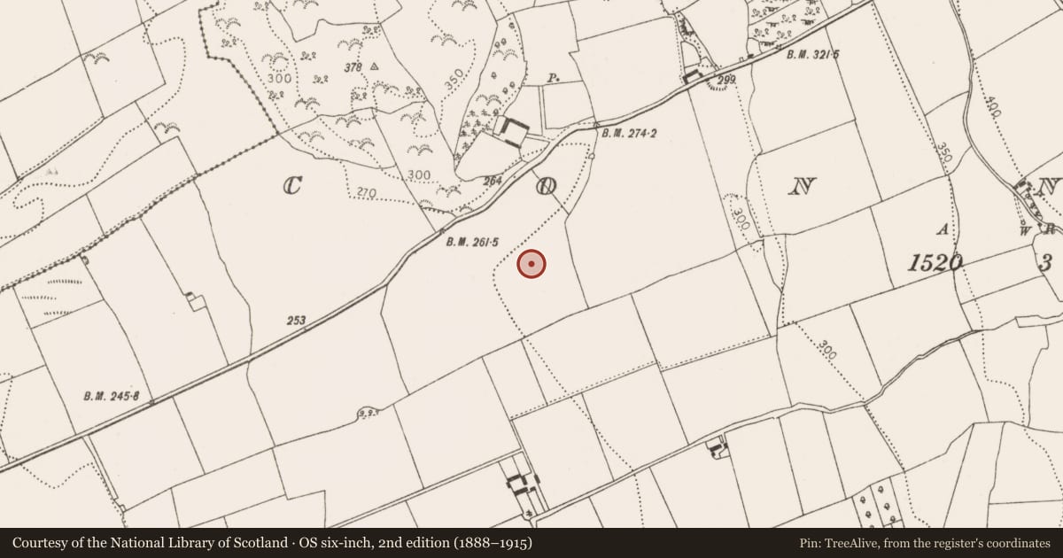 Ordnance Survey six-inch map, 2nd edition (1888–1915) covering the location of Ring-ditch, Connahy, County Kilkenny, with a pin at the register's coordinates