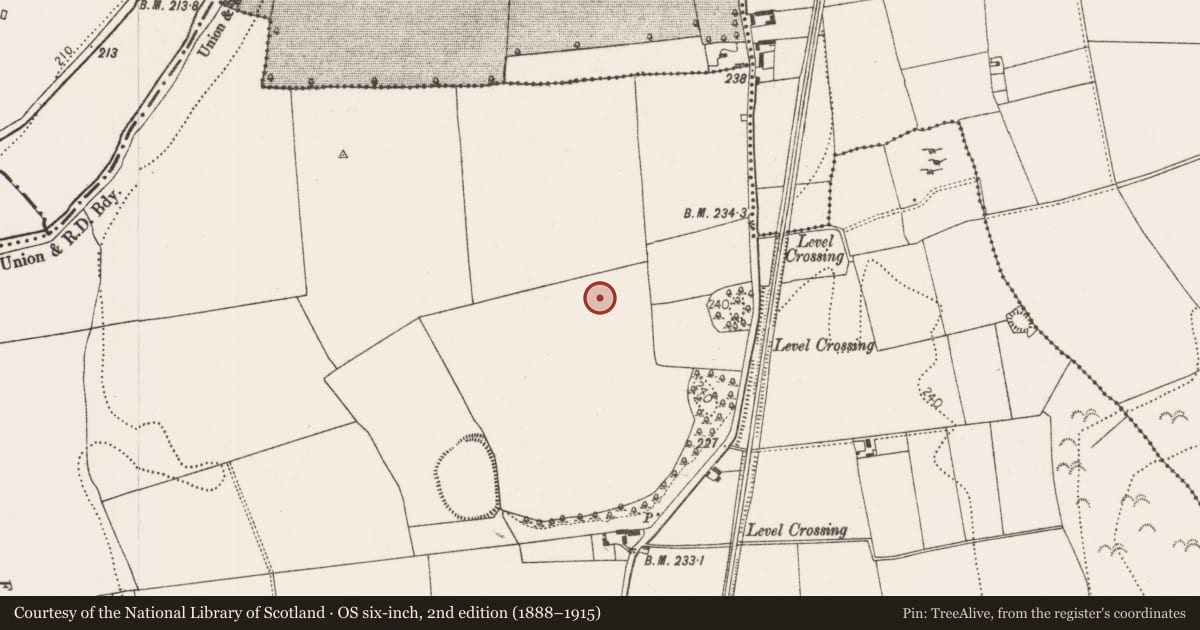 Ordnance Survey six-inch map, 2nd edition (1888–1915) covering the location of Ring-ditch, Oldtown, County Kilkenny, with a pin at the register's coordinates