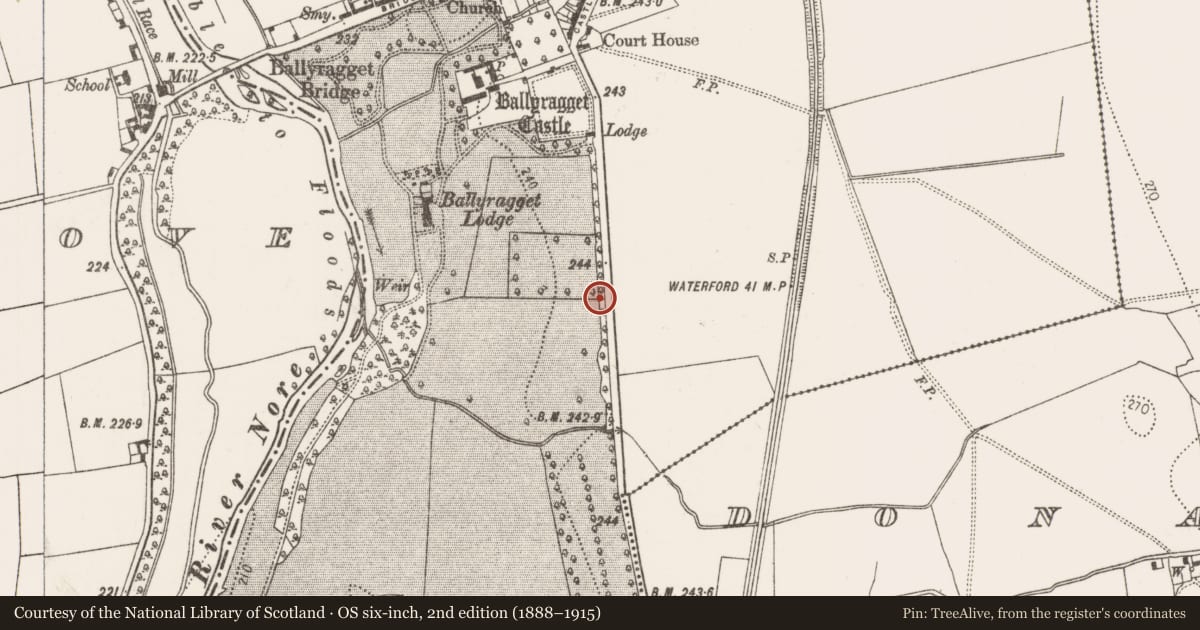 Ordnance Survey six-inch map, 2nd edition (1888–1915) covering the location of Enclosure, Ballyragget, County Kilkenny, with a pin at the register's coordinates