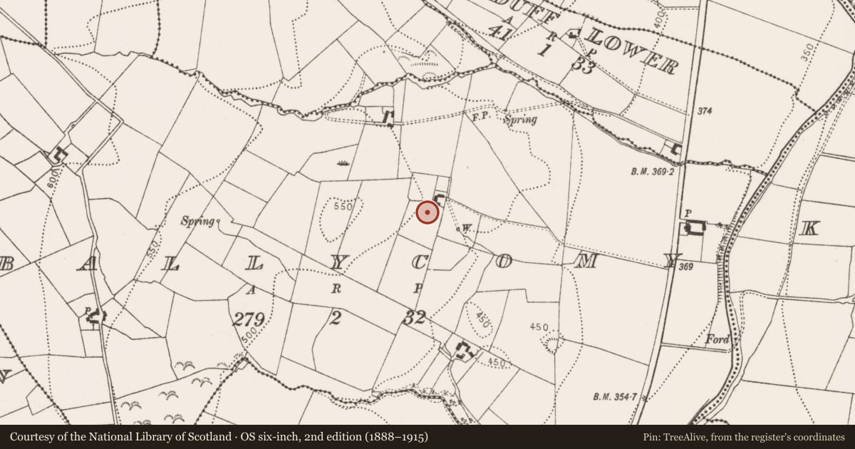 Ordnance Survey six-inch map, 2nd edition (1888–1915) covering the location of Enclosure, Ballycomy, County Kilkenny, with a pin at the register's coordinates