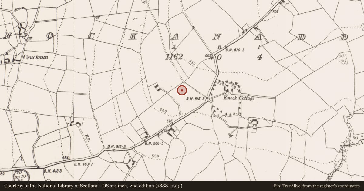 Ordnance Survey six-inch map, 2nd edition (1888–1915) covering the location of Moated site, Knockanaddoge, County Kilkenny, with a pin at the register's coordinates