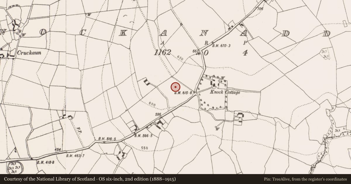 Ordnance Survey six-inch map, 2nd edition (1888–1915) covering the location of Enclosure, Knockanaddoge, County Kilkenny, with a pin at the register's coordinates