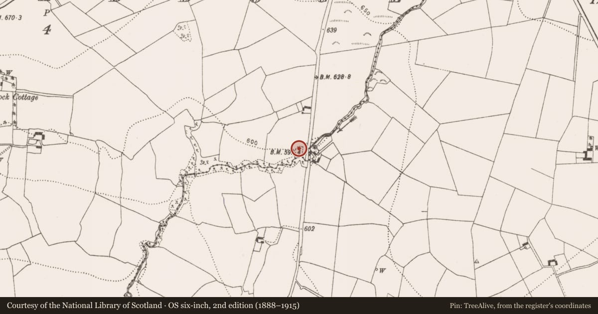 Ordnance Survey six-inch map, 2nd edition (1888–1915) covering the location of Enclosure, Knockanaddoge, County Kilkenny, with a pin at the register's coordinates