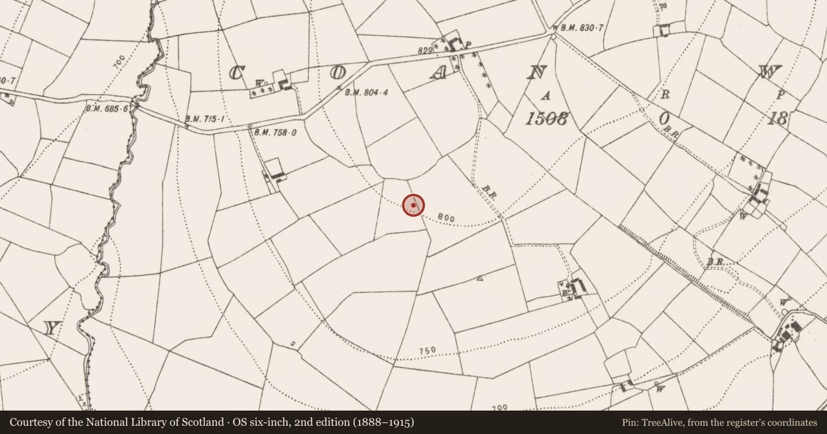 Ordnance Survey six-inch map, 2nd edition (1888–1915) covering the location of Fulacht fia, Coan West, County Kilkenny, with a pin at the register's coordinates