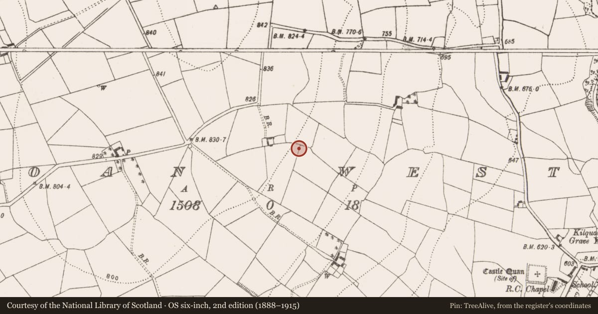 Ordnance Survey six-inch map, 2nd edition (1888–1915) covering the location of Fulacht fia, Coan West, County Kilkenny, with a pin at the register's coordinates