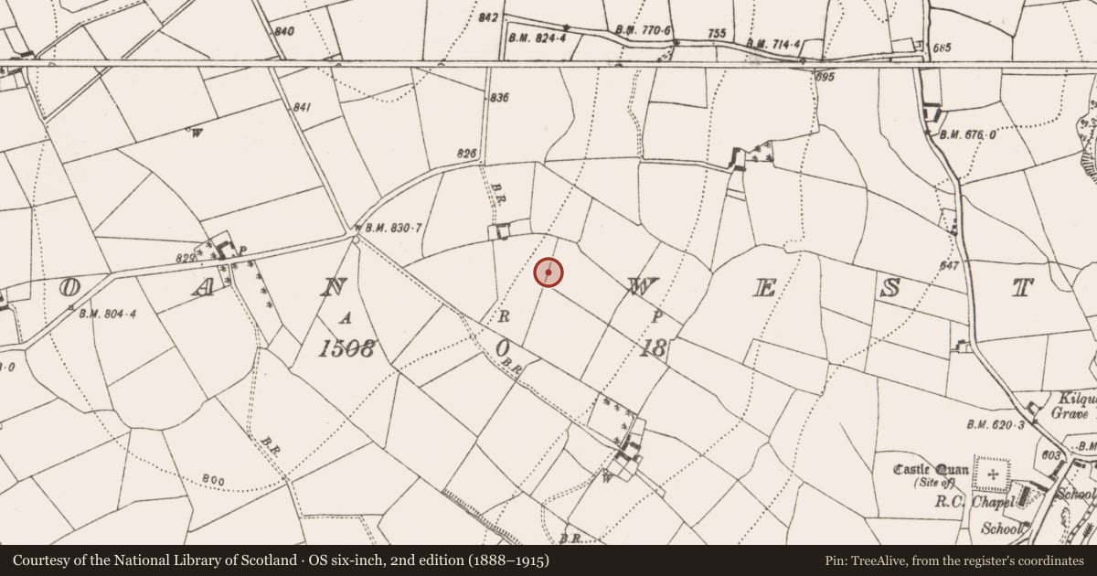 Ordnance Survey six-inch map, 2nd edition (1888–1915) covering the location of Fulacht fia, Coan West, County Kilkenny, with a pin at the register's coordinates