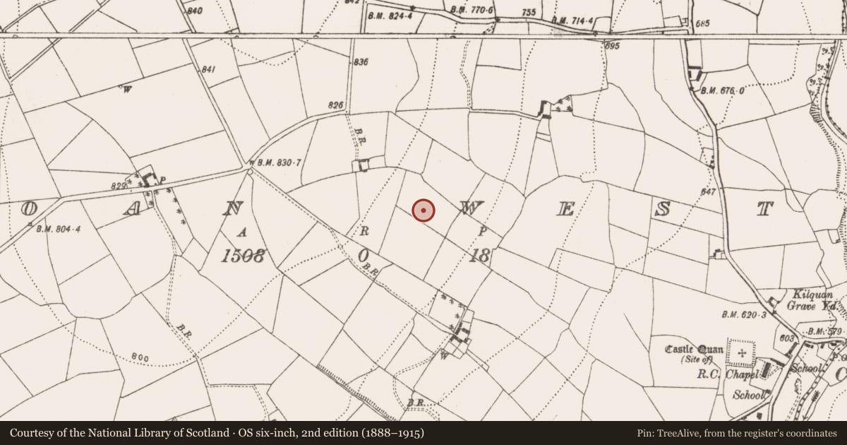 Ordnance Survey six-inch map, 2nd edition (1888–1915) covering the location of Fulacht fia, Coan West, County Kilkenny, with a pin at the register's coordinates