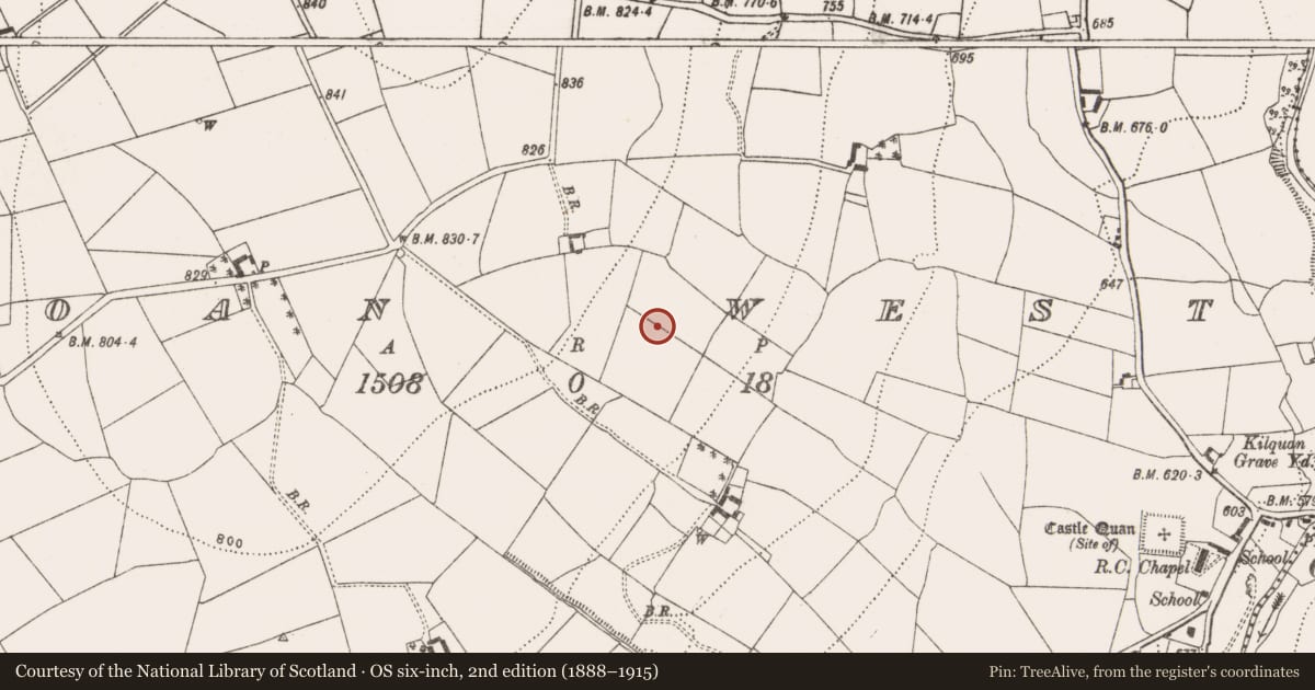 Ordnance Survey six-inch map, 2nd edition (1888–1915) covering the location of Fulacht fia, Coan West, County Kilkenny, with a pin at the register's coordinates
