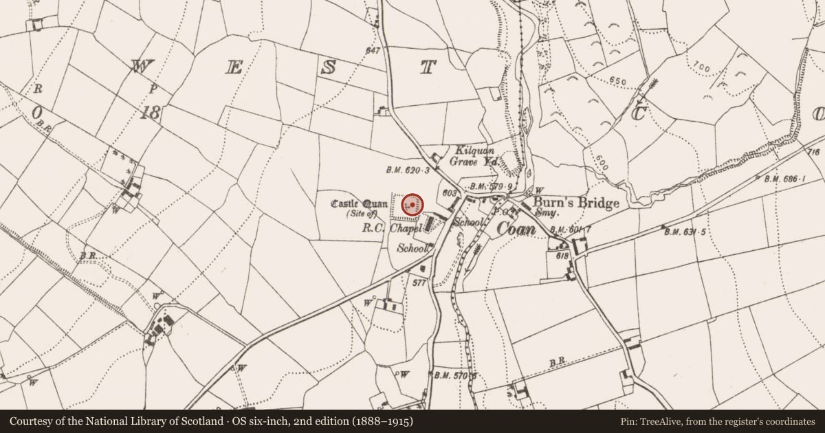 Ordnance Survey six-inch map, 2nd edition (1888–1915) covering the location of Castle - unclassified, Coan West, County Kilkenny, with a pin at the register's coordinates
