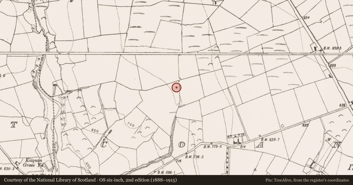 Ordnance Survey six-inch map, 2nd edition (1888–1915) covering the location of Fulacht fia, Coan East, County Kilkenny, with a pin at the register's coordinates