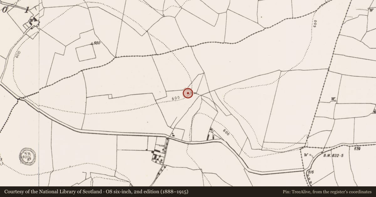 Ordnance Survey six-inch map, 2nd edition (1888–1915) covering the location of Enclosure, Gaulstown, County Kilkenny, with a pin at the register's coordinates