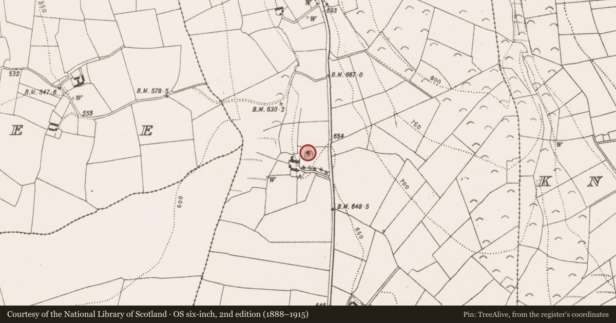 Ordnance Survey six-inch map, 2nd edition (1888–1915) covering the location of Mound, Clogharinka, County Kilkenny, with a pin at the register's coordinates