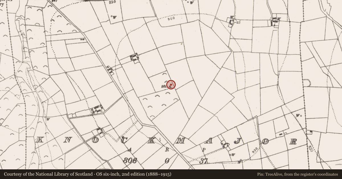 Ordnance Survey six-inch map, 2nd edition (1888–1915) covering the location of Cairn - unclassified, Knockmajor, County Kilkenny, with a pin at the register's coordinates
