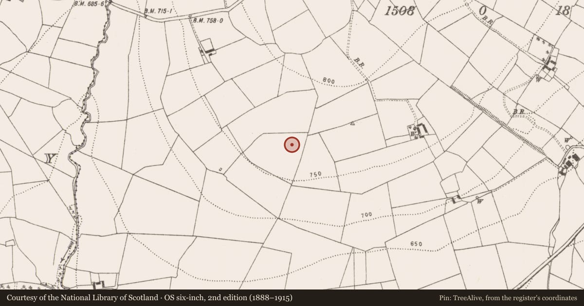 Ordnance Survey six-inch map, 2nd edition (1888–1915) covering the location of Burnt mound, Coan West, County Kilkenny, with a pin at the register's coordinates
