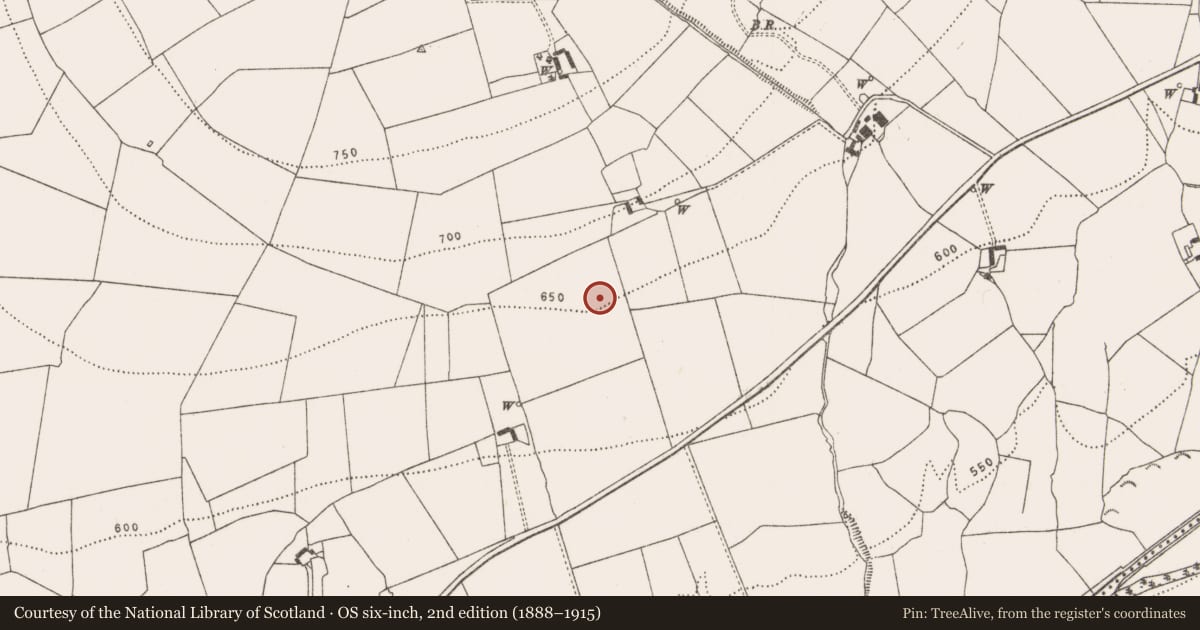 Ordnance Survey six-inch map, 2nd edition (1888–1915) covering the location of Burnt mound, Coan West, County Kilkenny, with a pin at the register's coordinates