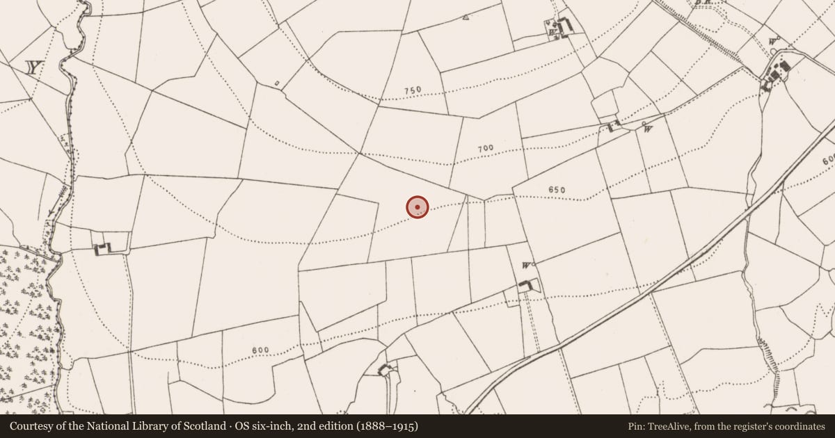 Ordnance Survey six-inch map, 2nd edition (1888–1915) covering the location of Burnt mound, Coan West, County Kilkenny, with a pin at the register's coordinates