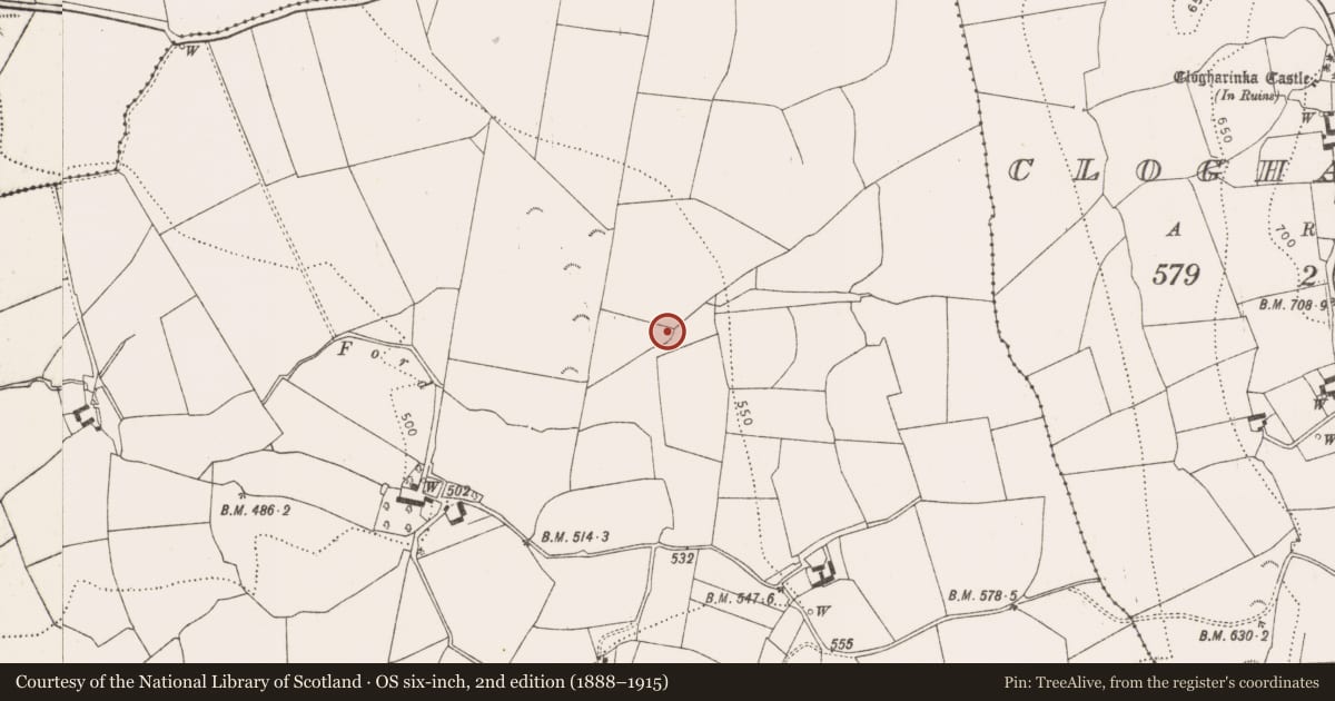 Ordnance Survey six-inch map, 2nd edition (1888–1915) covering the location of Enclosure, Muckalee, County Kilkenny, with a pin at the register's coordinates
