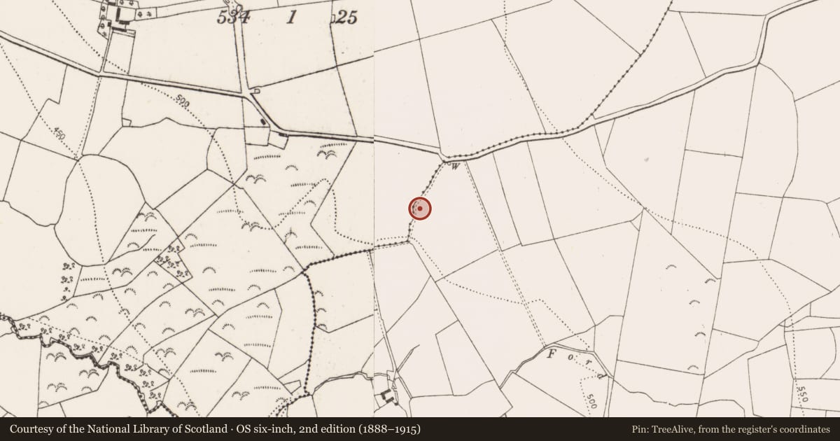 Ordnance Survey six-inch map, 2nd edition (1888–1915) covering the location of Burnt mound, Muckalee, County Kilkenny, with a pin at the register's coordinates