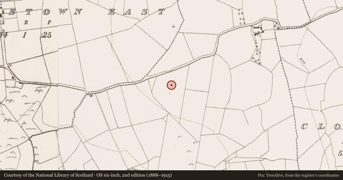 Ordnance Survey six-inch map, 2nd edition (1888–1915) covering the location of Burnt mound, Muckalee, County Kilkenny, with a pin at the register's coordinates