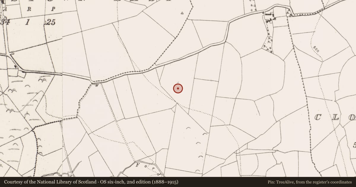Ordnance Survey six-inch map, 2nd edition (1888–1915) covering the location of Burnt mound, Muckalee, County Kilkenny, with a pin at the register's coordinates