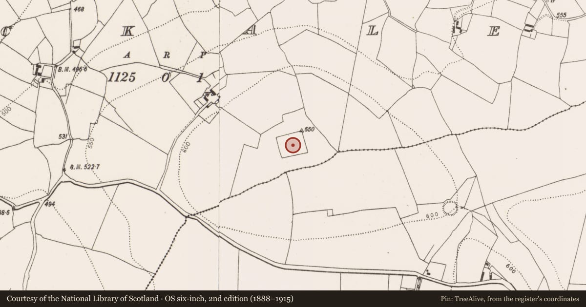 Ordnance Survey six-inch map, 2nd edition (1888–1915) covering the location of Enclosure, Muckalee, County Kilkenny, with a pin at the register's coordinates