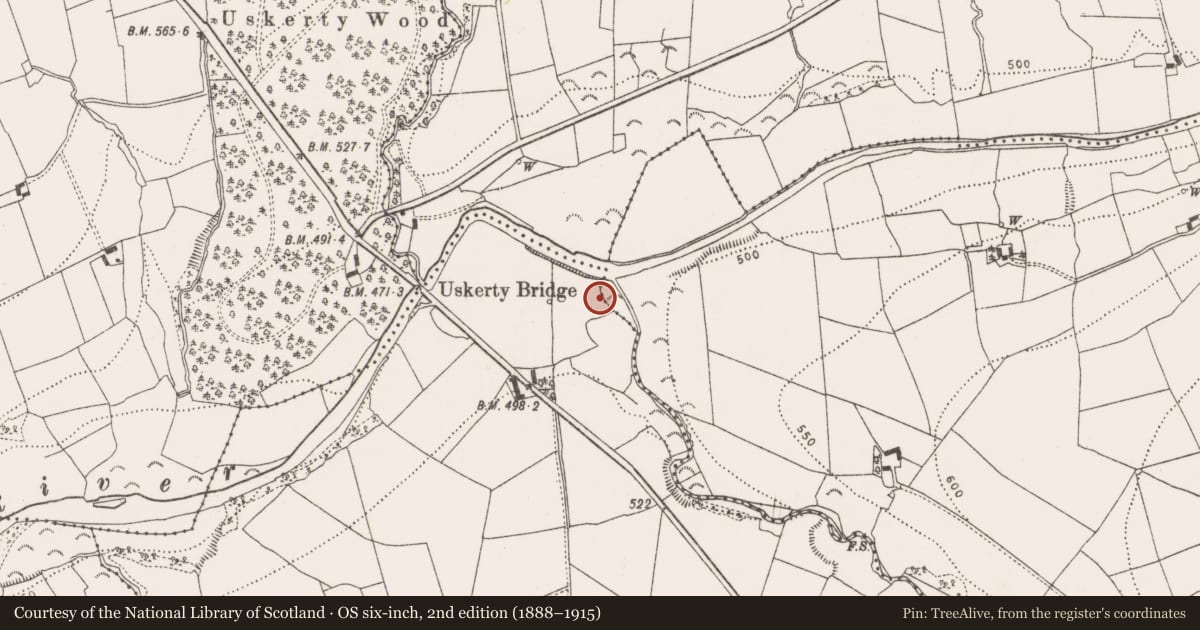 Ordnance Survey six-inch map, 2nd edition (1888–1915) covering the location of Cist, Coolraheen North, County Kilkenny, with a pin at the register's coordinates