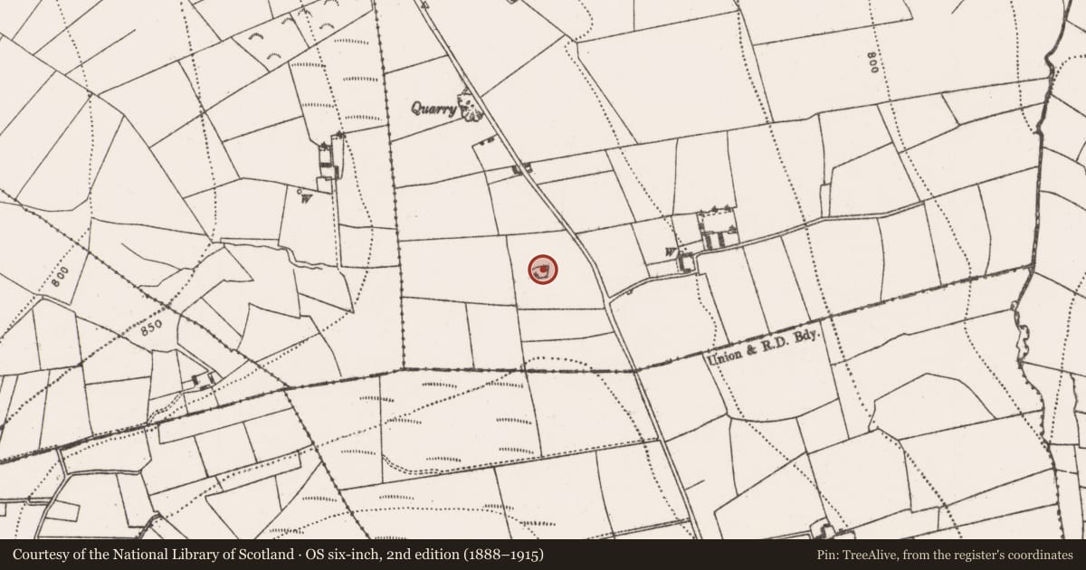 Ordnance Survey six-inch map, 2nd edition (1888–1915) covering the location of Designed landscape feature, Coolraheen South, County Kilkenny, with a pin at the register's coordinates