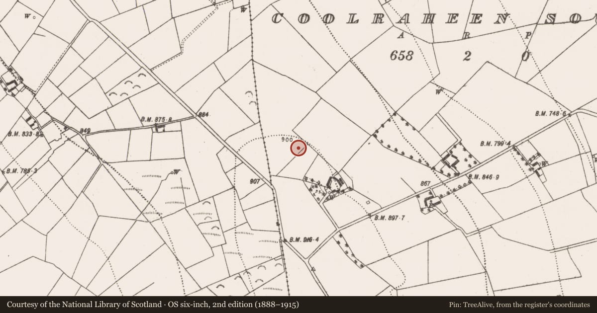 Ordnance Survey six-inch map, 2nd edition (1888–1915) covering the location of Cairn - ring-cairn, Coolraheen South, County Kilkenny, with a pin at the register's coordinates