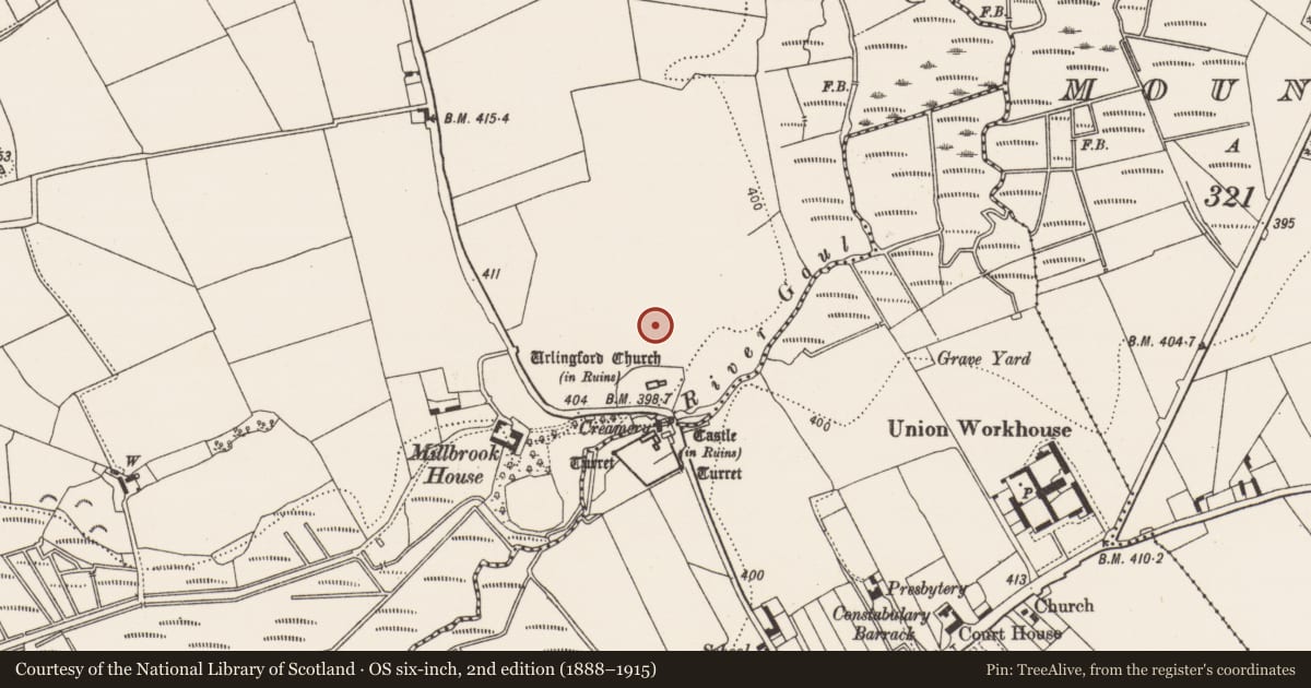 Ordnance Survey six-inch map, 2nd edition (1888–1915) covering the location of Earthwork, Islands, County Kilkenny, with a pin at the register's coordinates