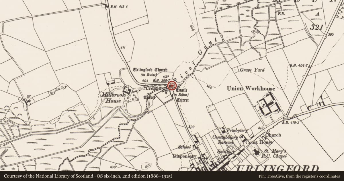 Ordnance Survey six-inch map, 2nd edition (1888–1915) covering the location of Ford, Islands, Urlingford, County Kilkenny, with a pin at the register's coordinates