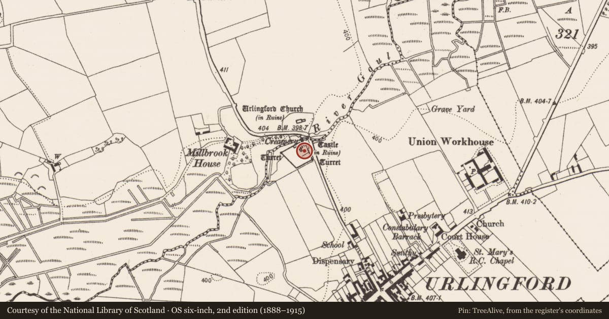 Ordnance Survey six-inch map, 2nd edition (1888–1915) covering the location of Castle - tower house, Urlingford, County Kilkenny, with a pin at the register's coordinates