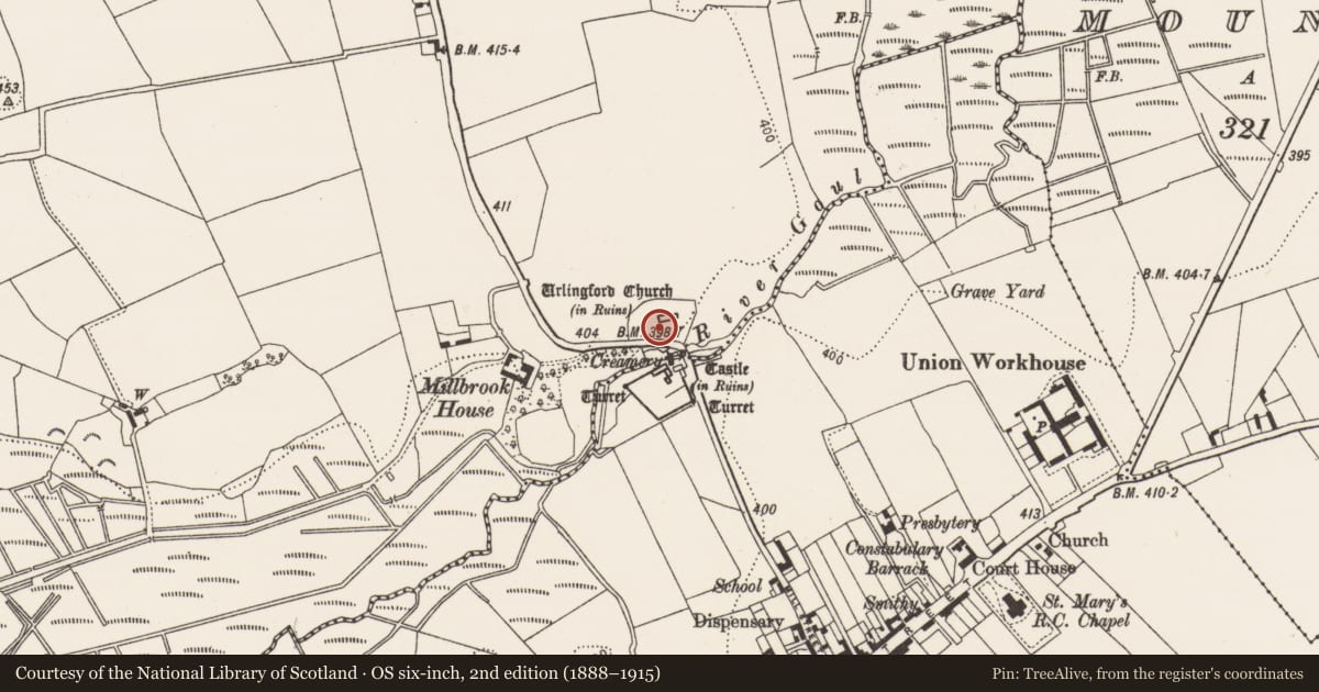 Ordnance Survey six-inch map, 2nd edition (1888–1915) covering the location of Graveyard, Islands, County Kilkenny, with a pin at the register's coordinates