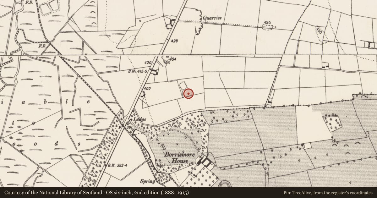 Ordnance Survey six-inch map, 2nd edition (1888–1915) covering the location of Enclosure, Warrenstown, County Kilkenny, with a pin at the register's coordinates