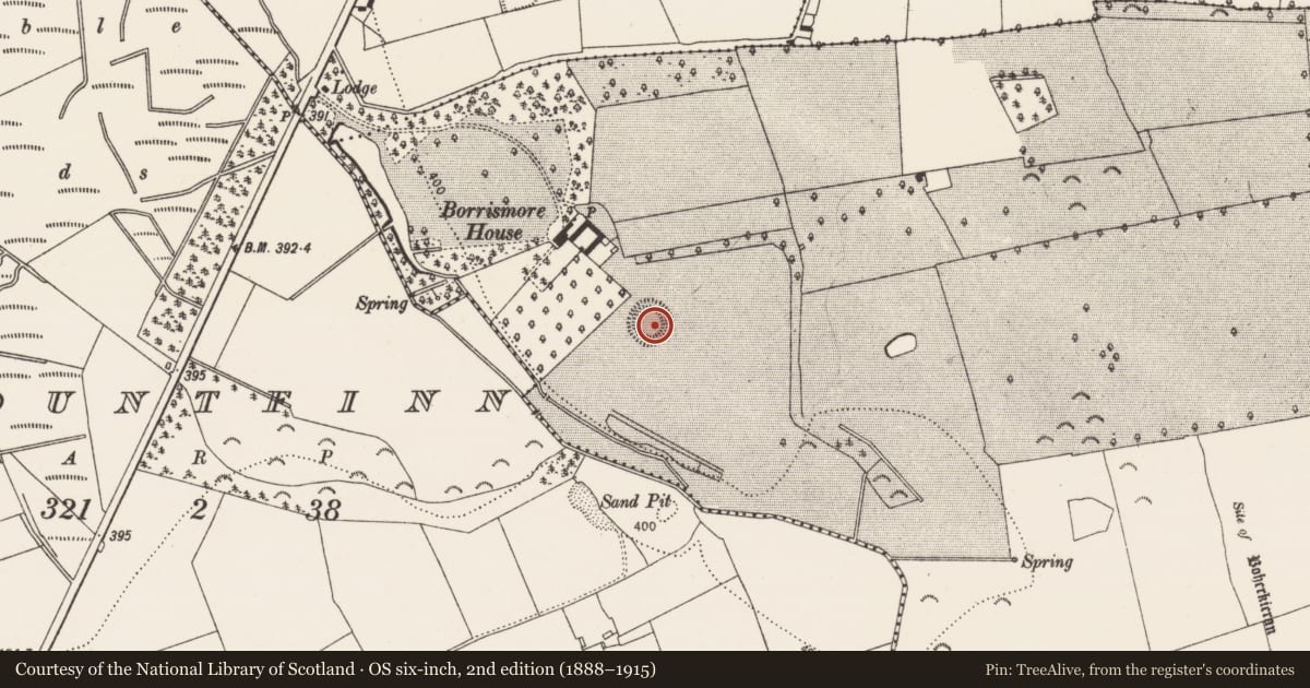 Ordnance Survey six-inch map, 2nd edition (1888–1915) covering the location of Ringfort - rath, Borrismore, County Kilkenny, with a pin at the register's coordinates