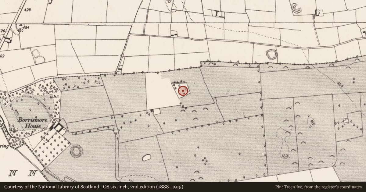 Ordnance Survey six-inch map, 2nd edition (1888–1915) covering the location of Designed landscape feature, Borrismore, County Kilkenny, with a pin at the register's coordinates