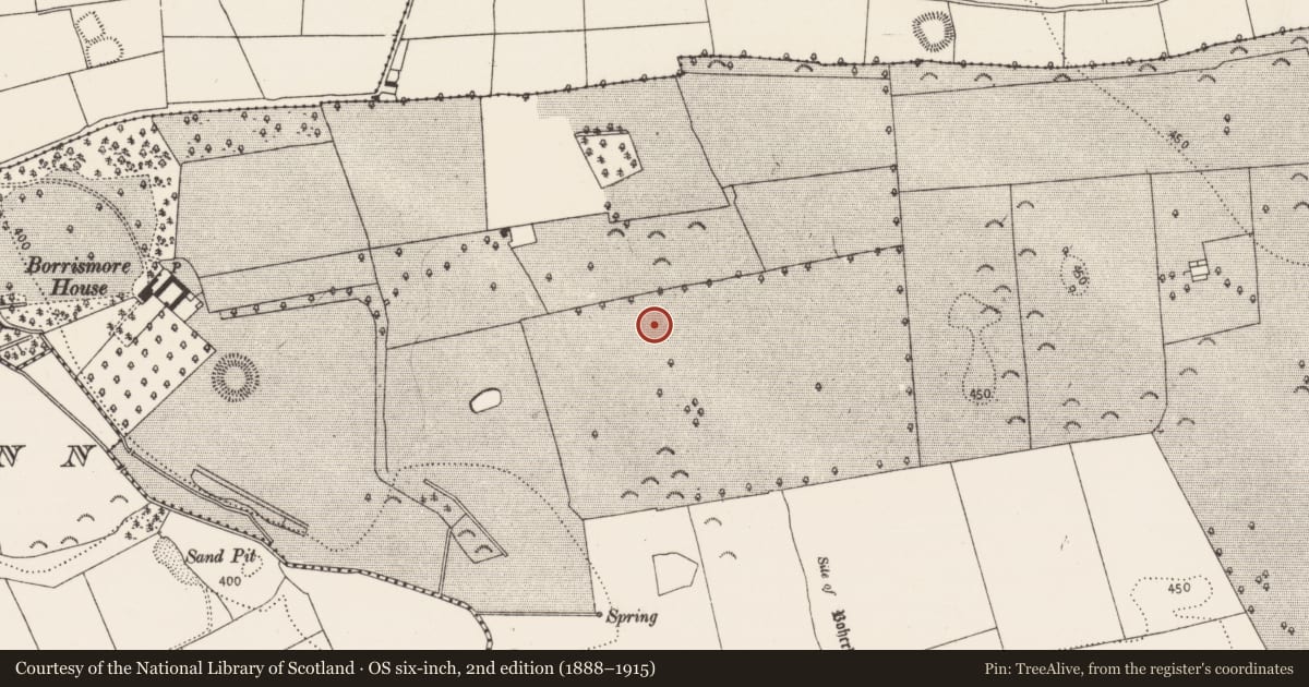 Ordnance Survey six-inch map, 2nd edition (1888–1915) covering the location of Enclosure, Borrismore, County Kilkenny, with a pin at the register's coordinates