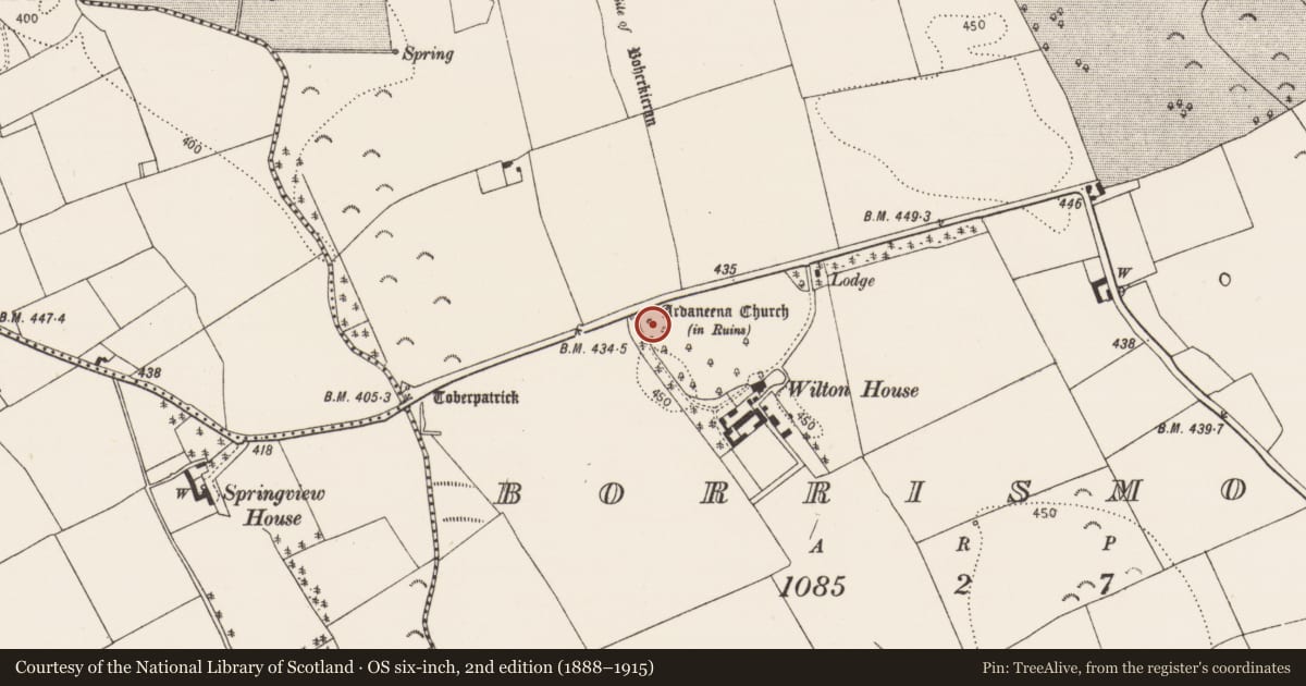 Ordnance Survey six-inch map, 2nd edition (1888–1915) covering the location of Church, Borrismore, County Kilkenny, with a pin at the register's coordinates