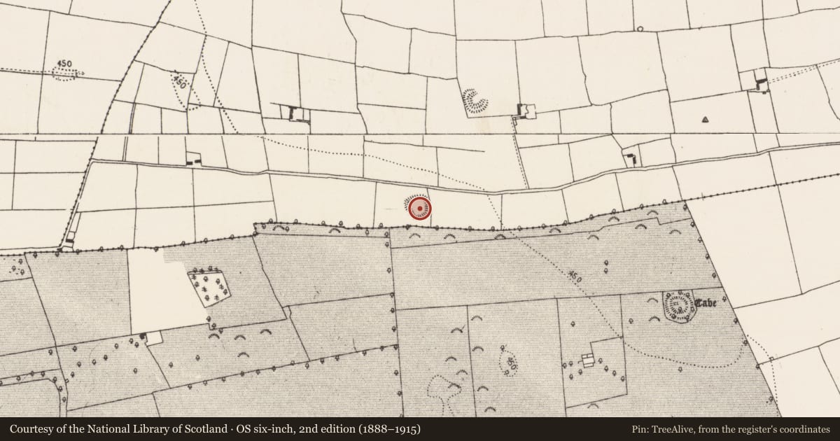 Ordnance Survey six-inch map, 2nd edition (1888–1915) covering the location of Enclosure, Donaghmore Lower, County Kilkenny, with a pin at the register's coordinates
