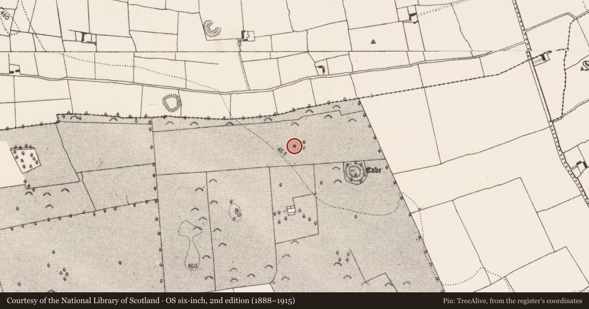 Ordnance Survey six-inch map, 2nd edition (1888–1915) covering the location of Enclosure, Borrismore, County Kilkenny, with a pin at the register's coordinates