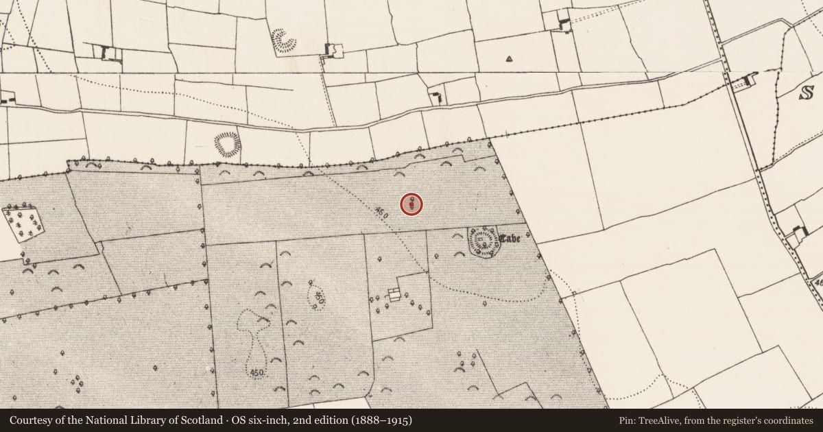 Ordnance Survey six-inch map, 2nd edition (1888–1915) covering the location of Enclosure, Borrismore, County Kilkenny, with a pin at the register's coordinates