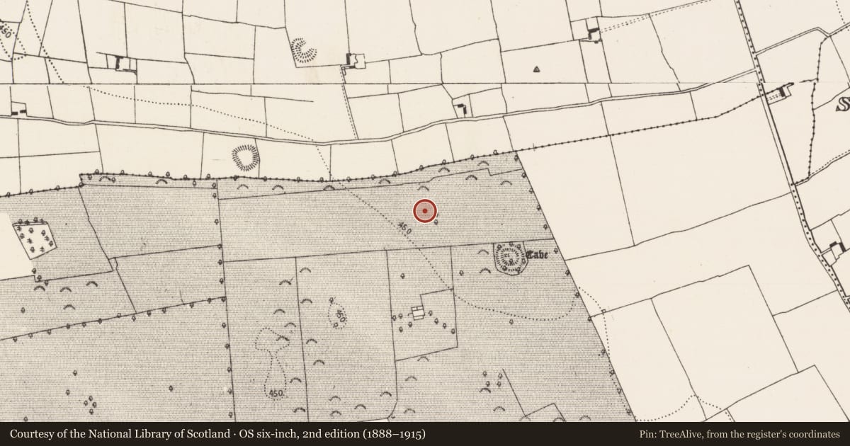 Ordnance Survey six-inch map, 2nd edition (1888–1915) covering the location of Field boundary, Borrismore, County Kilkenny, with a pin at the register's coordinates
