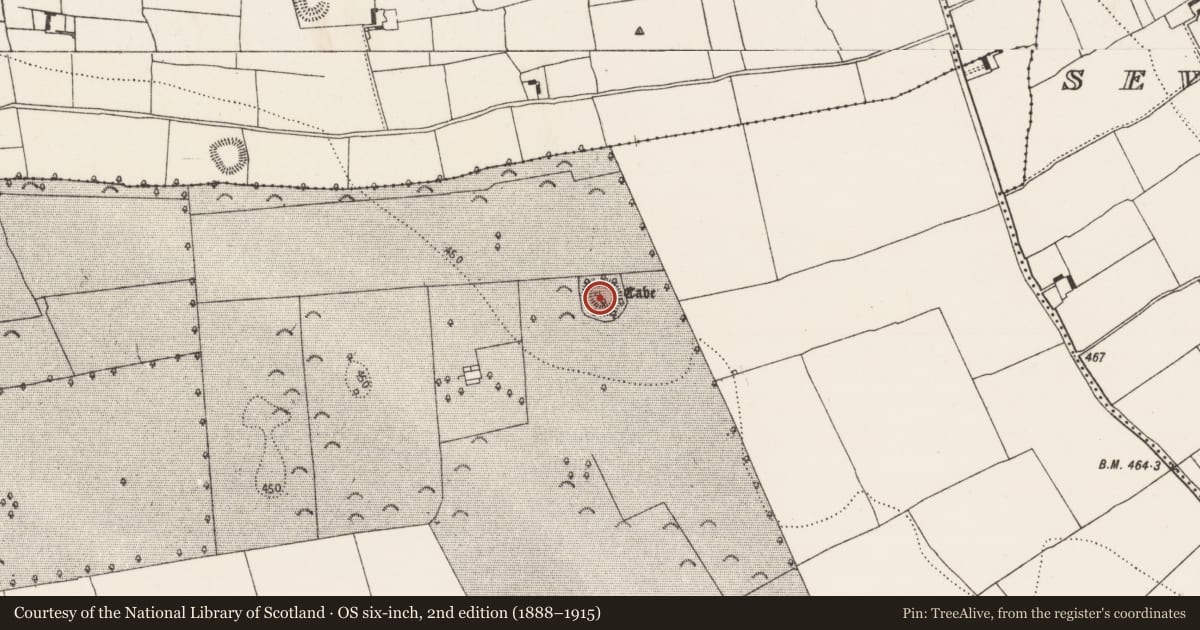 Ordnance Survey six-inch map, 2nd edition (1888–1915) covering the location of Souterrain, Borrismore, County Kilkenny, with a pin at the register's coordinates