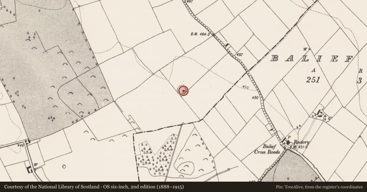 Ordnance Survey six-inch map, 2nd edition (1888–1915) covering the location of Enclosure, Borrismore, County Kilkenny, with a pin at the register's coordinates