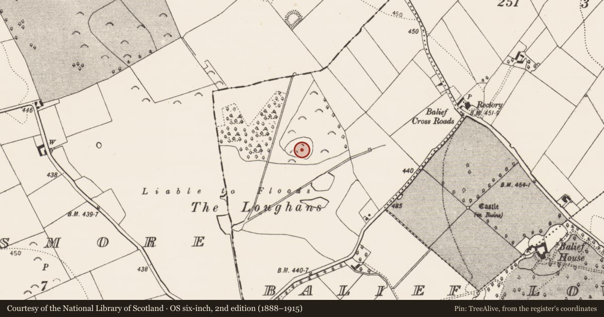 Ordnance Survey six-inch map, 2nd edition (1888–1915) covering the location of Enclosure, Balief Lower, County Kilkenny, with a pin at the register's coordinates