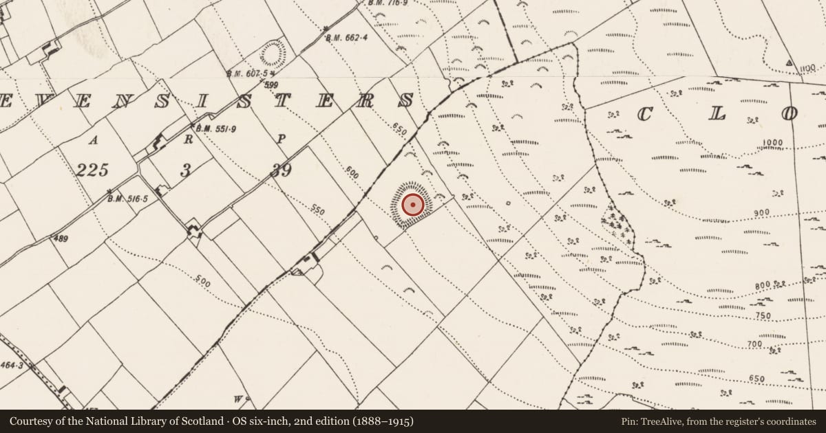 Ordnance Survey six-inch map, 2nd edition (1888–1915) covering the location of Enclosure, Balief Upper, County Kilkenny, with a pin at the register's coordinates