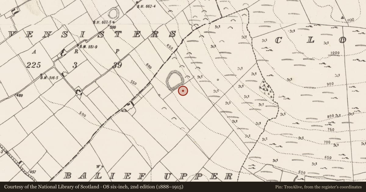 Ordnance Survey six-inch map, 2nd edition (1888–1915) covering the location of Enclosure, Balief Upper, County Kilkenny, with a pin at the register's coordinates