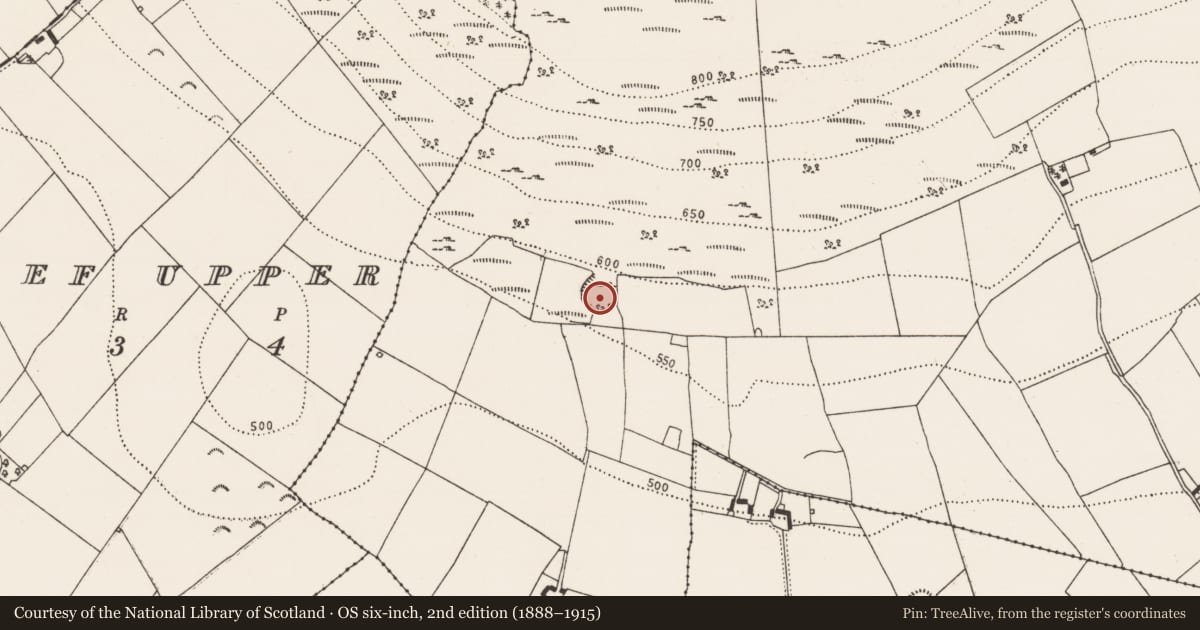 Ordnance Survey six-inch map, 2nd edition (1888–1915) covering the location of Enclosure, Clomantagh (Mountgarret), County Kilkenny, with a pin at the register's coordinates