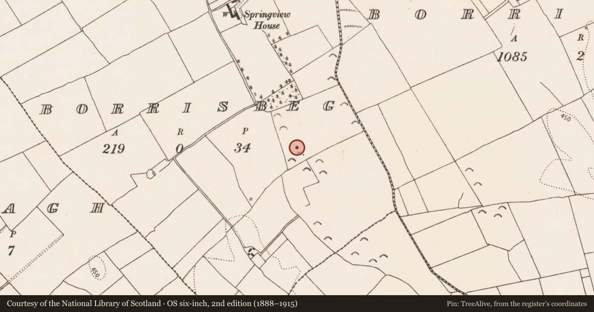 Ordnance Survey six-inch map, 2nd edition (1888–1915) covering the location of Enclosure, Borrisbeg, County Kilkenny, with a pin at the register's coordinates