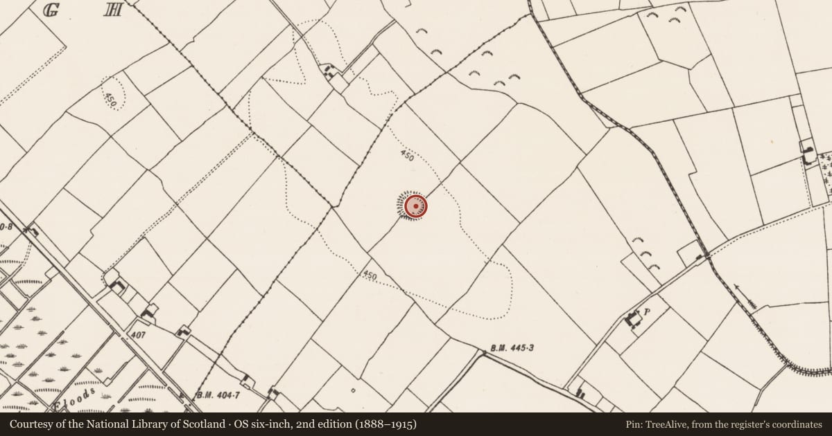 Ordnance Survey six-inch map, 2nd edition (1888–1915) covering the location of Ringfort - rath, Tincashel, County Kilkenny, with a pin at the register's coordinates